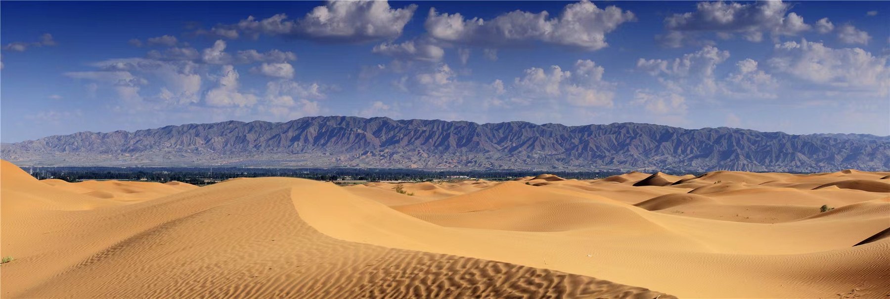 Wide desert landscape near the Silk Road Rally training area.